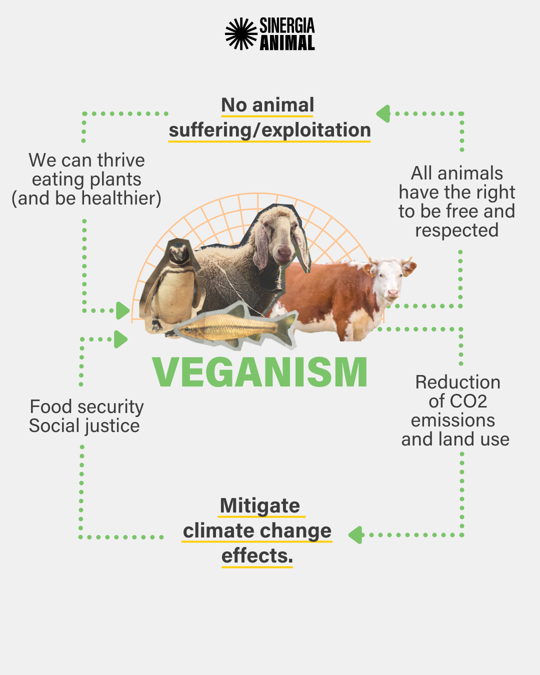 INT_VEGANDAY_oct2022